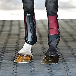 WeatherBeeta Tough-Tec Prime Brushing Horse Boots, Black/Burgundy, Small