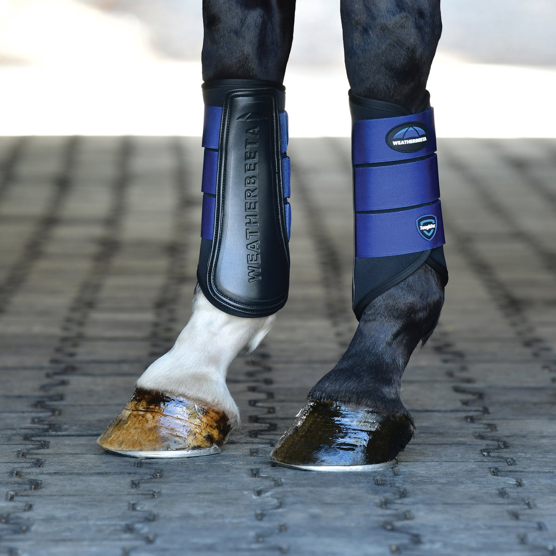 WeatherBeeta Tough-Tec Prime Brushing Horse Boots, Black/Cobalt, Medium