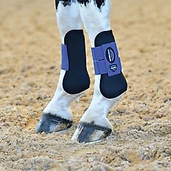 WeatherBeeta Tough-Tec Prime Open Front Horse Boots, Black/Cobalt, Large slide 1 of 4