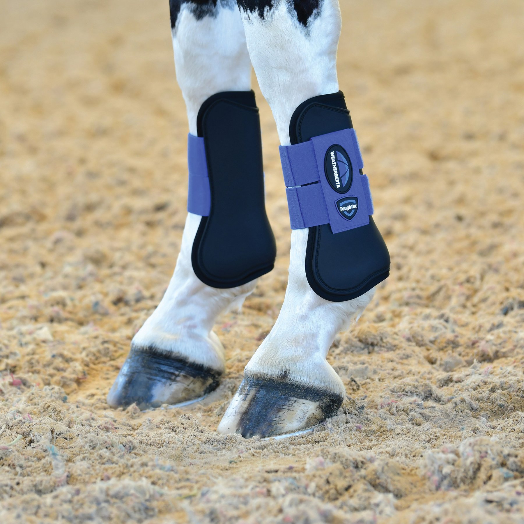 WeatherBeeta Tough-Tec Prime Open Front Horse Boots, Black/Cobalt, Large