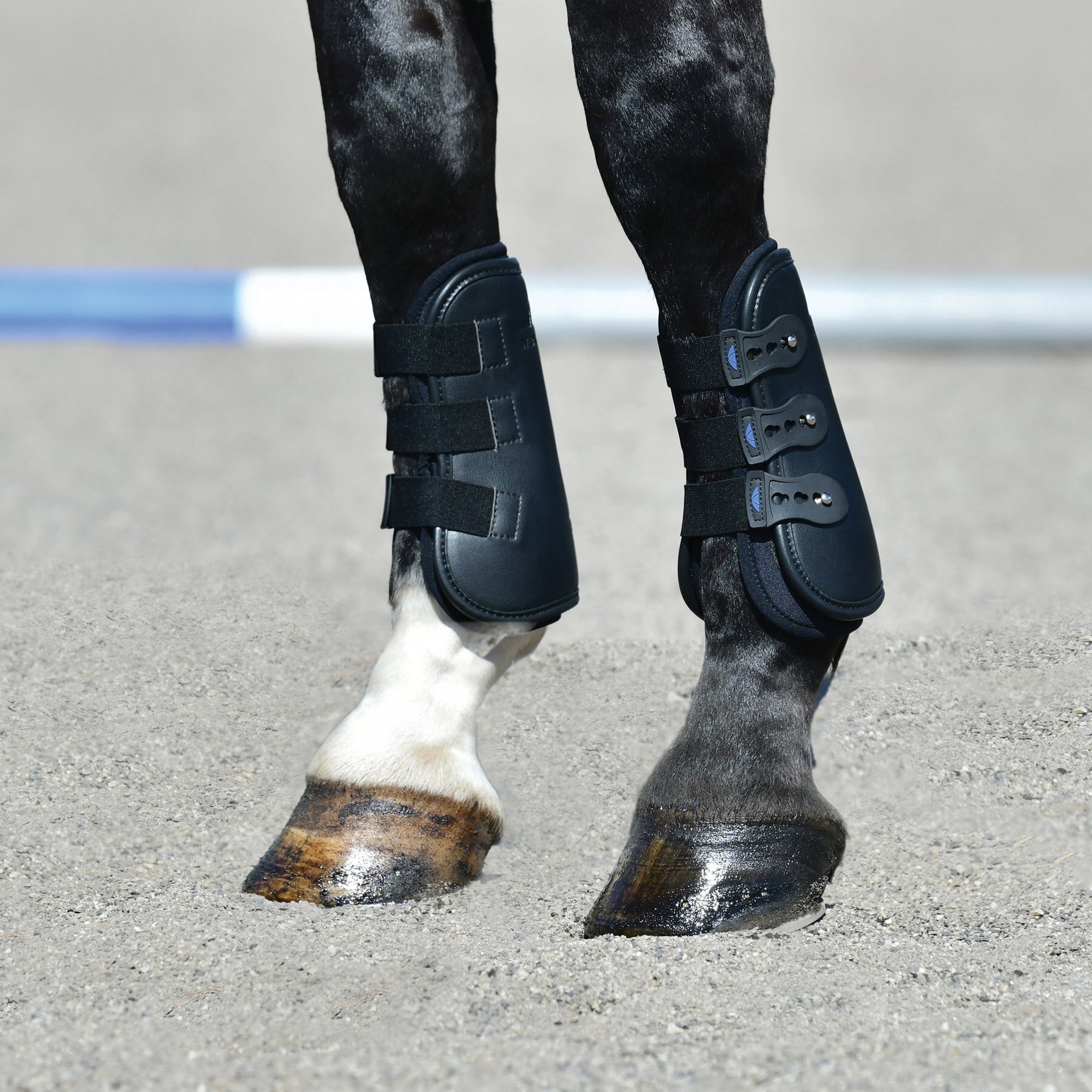 WeatherBeeta Tough-Tec Pro Open Front Horse Boots, Black, Large