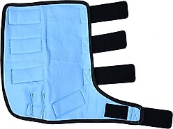 WeatherBeeta Therapy-Tec Cold Water Horse Boots, Black/Blue, Medium slide 2 of 6