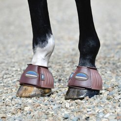 WeatherBeeta Tough-Tec Prime Rubber Bell Horse Boots, Brown/Brown, Large