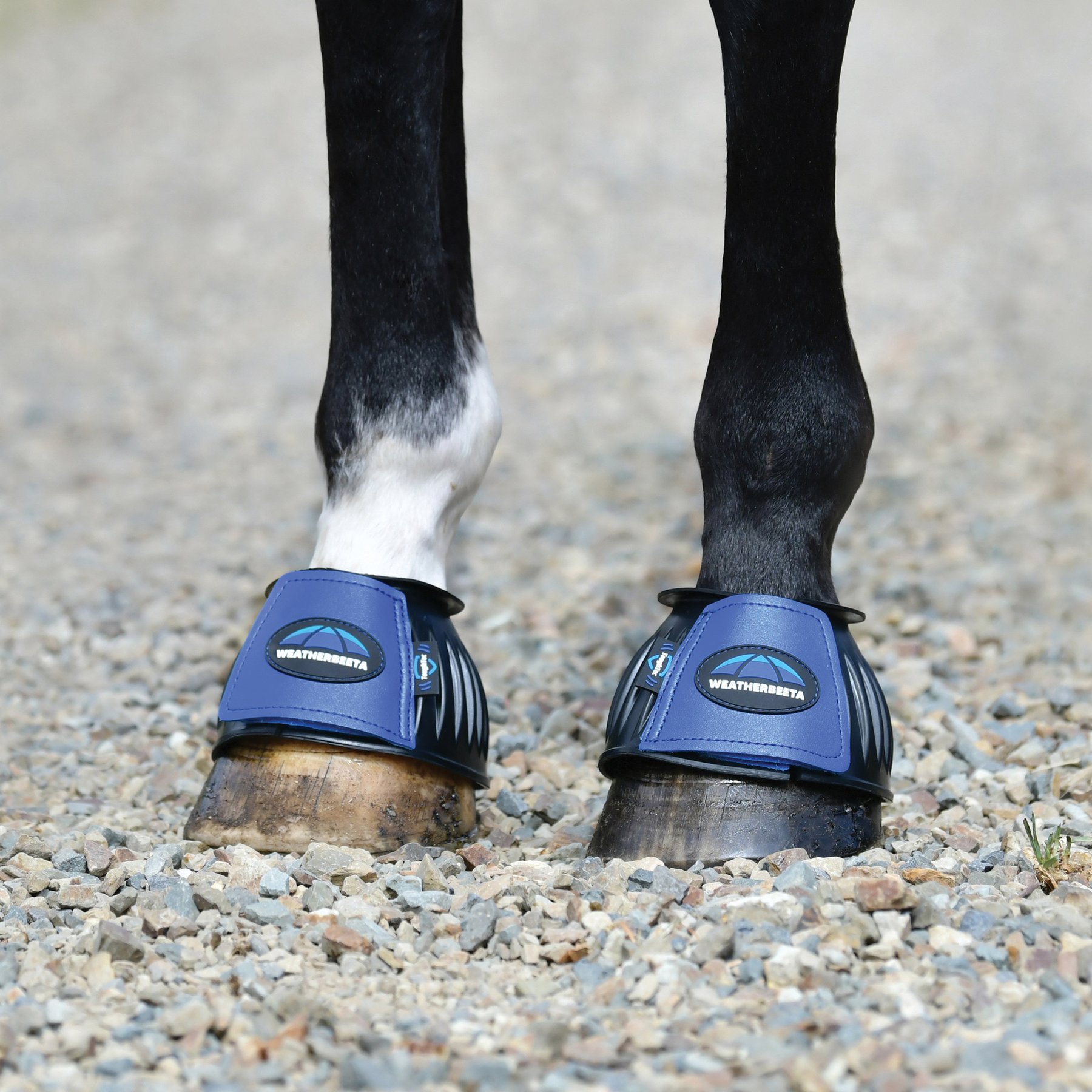 WeatherBeeta Tough-Tec Prime Rubber Bell Horse Boots, Black/Cobalt, Small