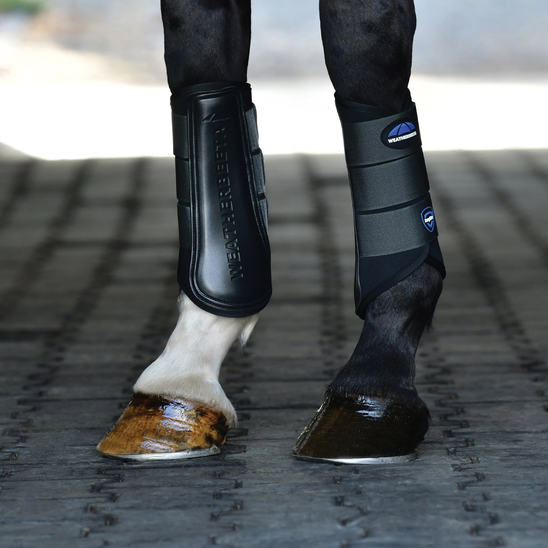 WeatherBeeta Tough-Tec Prime Brushing Horse Boots, Black/Gray, Medium