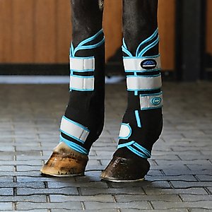 WeatherBeeta Therapy-Tec Stable Boot Horse Wraps, Black/Blue, Medium
