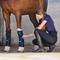 Show in main carousel: WeatherBeeta Therapy-Tec Ii Gel Ice Horse Boots, Black, Large slide 5 of 5