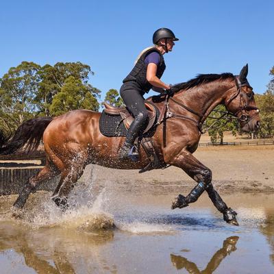 Show full view: WeatherBeeta Tough-Tec Eventing Front Horse Boots, Black, Large slide 8 of 8