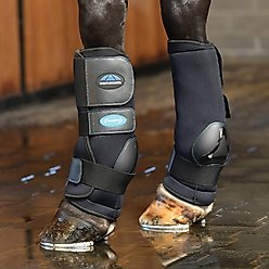 WeatherBeeta Therapy-Tec Ii Ultra Cool Ice Horse Boots, Black, Large