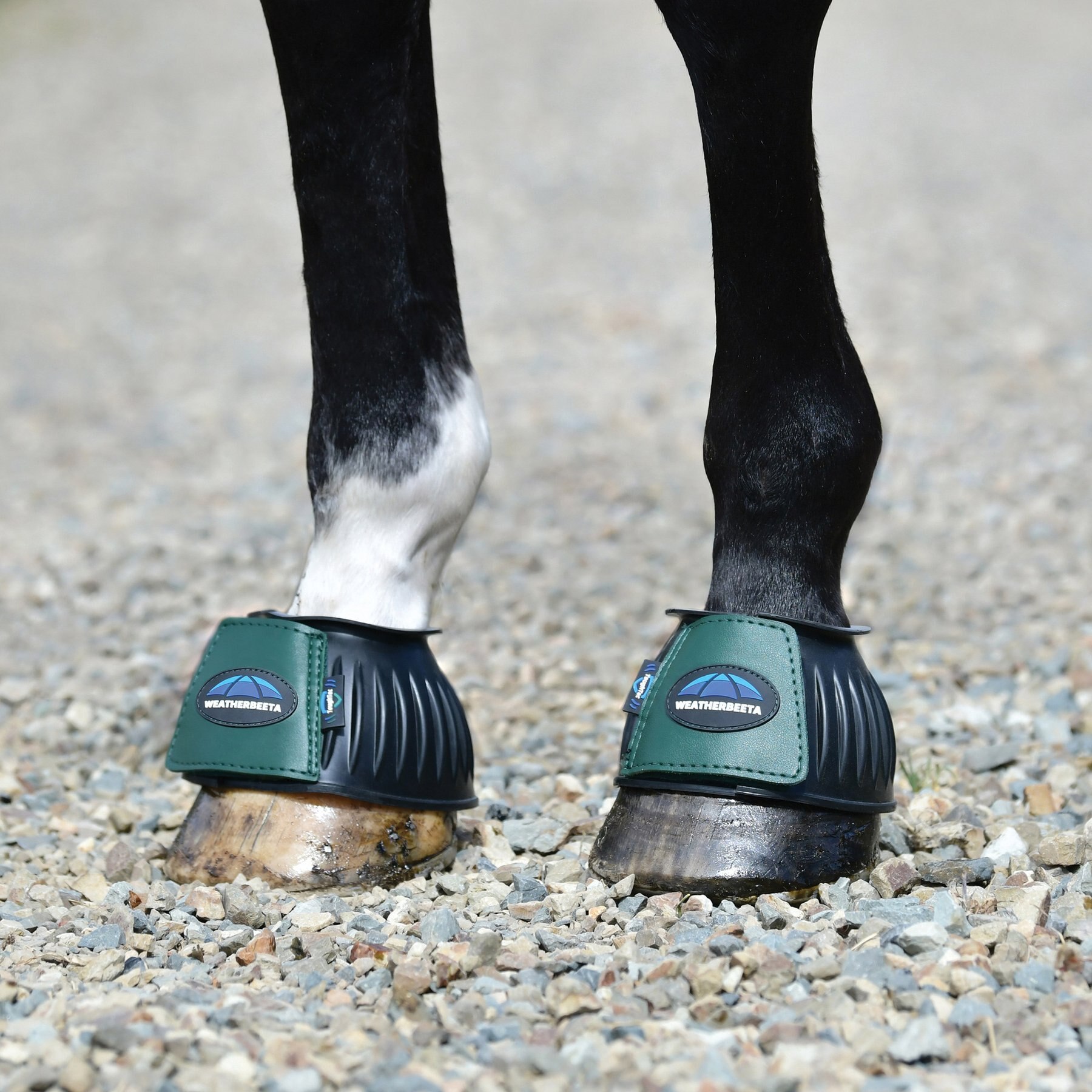 WeatherBeeta Tough-Tec Prime Rubber Bell Horse Boots, Black/Forest Green, Large