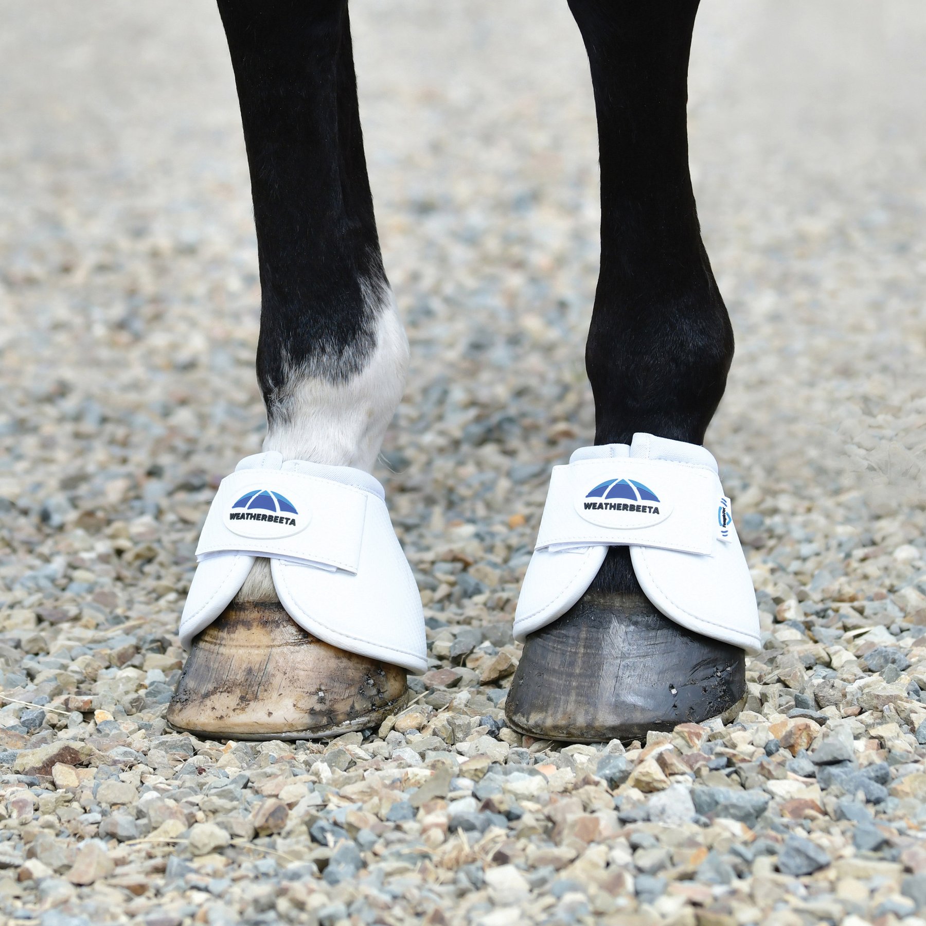WeatherBeeta Tough-Tec Anatomical Bell Horse Boots, White, Small