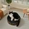Show in main carousel: Happy & Polly Round Cat Scratching Pad, Black slide 4 of 11