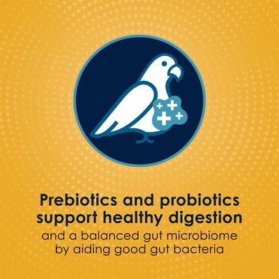 Show full view: Kaytee Forti-Diet Pro Health Egg-Cite! Nourish+Protect Cockatiel Food, 5-lb bag slide 4 of 10