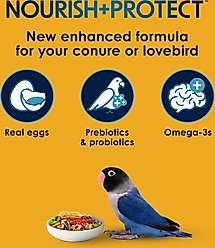 Kaytee Egg-Cite! Forti-Diet Pro Health Conure & Lovebird Food, 3-lb bag slide 2 of 9