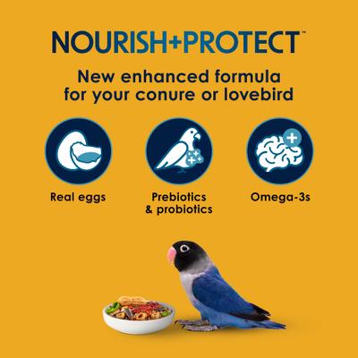 Show full view: Kaytee Forti-Diet Pro Health Egg-Cite! Nourish+Protect Conure & Lovebird Food, 3-lb bag slide 3 of 11