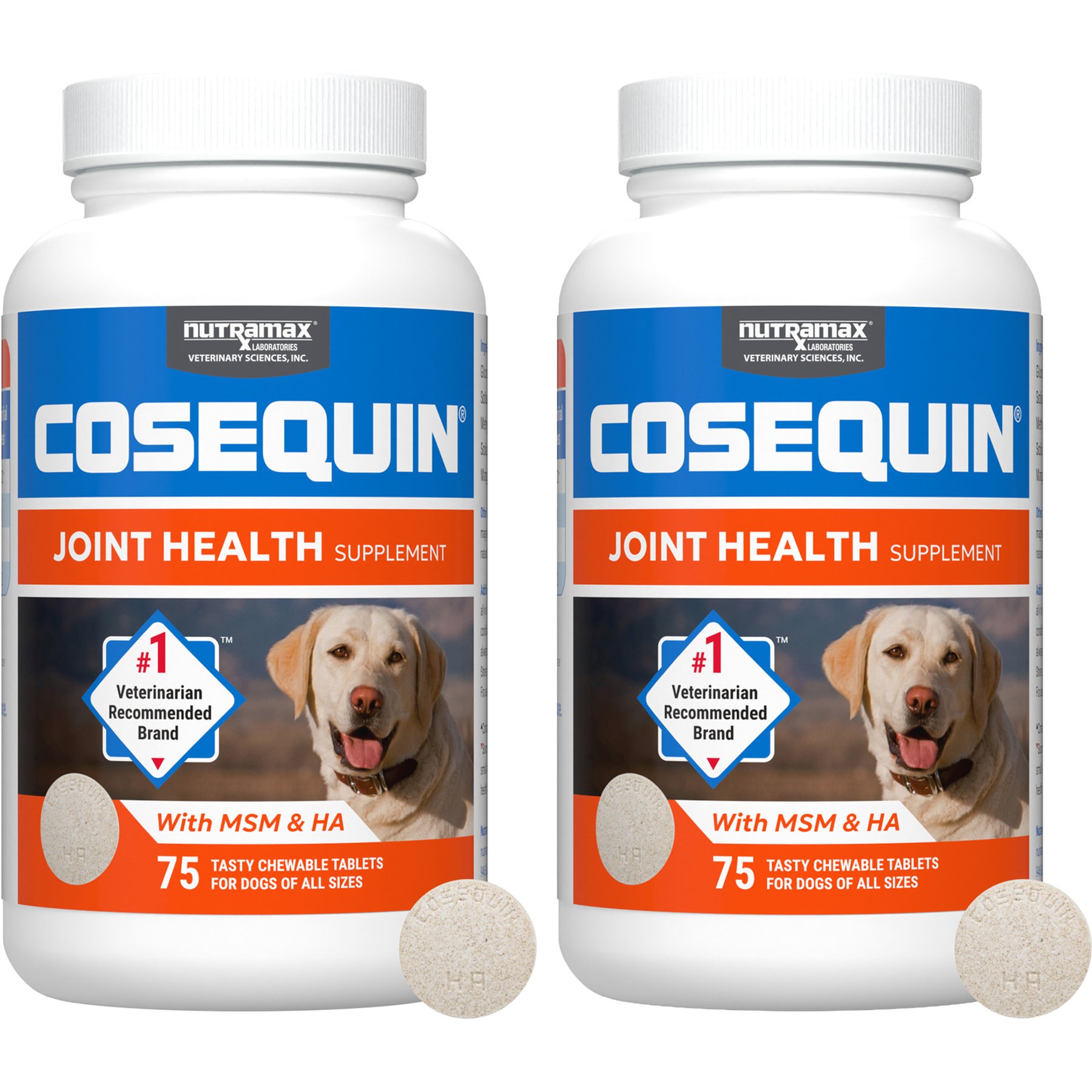 Which is Better Cosequin Or Dasuquin for Dogs: Ultimate Joint Support Showdown