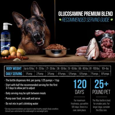 Show full view: Best Paw Nutrition Premium Dream Glucosamine Dog & Cat Liquid Supplement, Natural Unflavored, 16-fl oz bottle slide 5 of 10