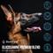 Show in main carousel: Best Paw Nutrition Premium Dream Glucosamine Dog & Cat Liquid Supplement, Bacon Flavored, 16-fl oz bottle slide 9 of 11