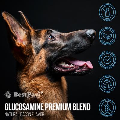 Show full view: Best Paw Nutrition Premium Dream Glucosamine Dog & Cat Liquid Supplement, Bacon Flavored, 16-fl oz bottle slide 9 of 11