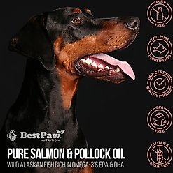 Best Paw Nutrition Wild Salmon & Pollock Oil Liquid Omega-3s Dog & Cat Supplement, 16-fl oz bottle slide 2 of 9