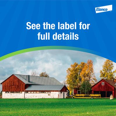 Show full view: Elanco Permectrin II Farm Animal Fly & Insect Control, 1-qt bottle slide 5 of 9