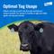Show in main carousel: Elanco Cylence Ultra Fly & Insect Control Cattle Ear Tags, 20 count slide 5 of 7