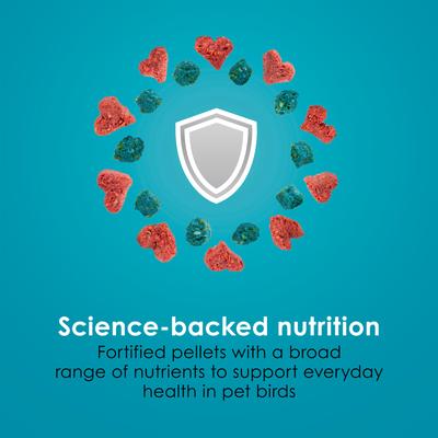 Show full view: Kaytee Forti-Diet Pro Health Nourish+Protect Canary & Finch Food, 2-lb bag slide 6 of 9