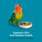 Show in main carousel: Kaytee Forti-Diet Pro Health Conure & Lovebird Food, 4-lb bag slide 7 of 9