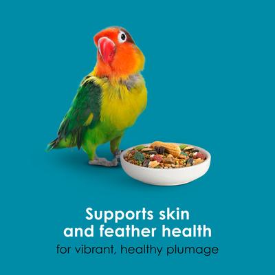 Show full view: Kaytee Forti-Diet Pro Health Conure & Lovebird Food, 4-lb bag slide 7 of 9