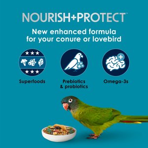 Kaytee Forti-Diet Pro Health Conure & Lovebird Food, 4-lb bag