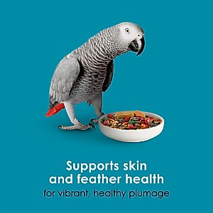 Kaytee Forti-Diet Pro Health Nourish+Protect Parrot Food, 8-lb bag