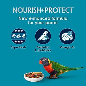 Kaytee Forti-Diet Pro Health Nourish+Protect Parrot Food, 8-lb bag