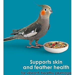 Kaytee Forti-Diet Pro Health Cockatiel Food, 5-lb bag