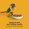 Show in main carousel: Kaytee Forti-Diet Pro Health Egg-Cite! Nourish+Protect Conure & Lovebird Food, 3-lb bag slide 8 of 11