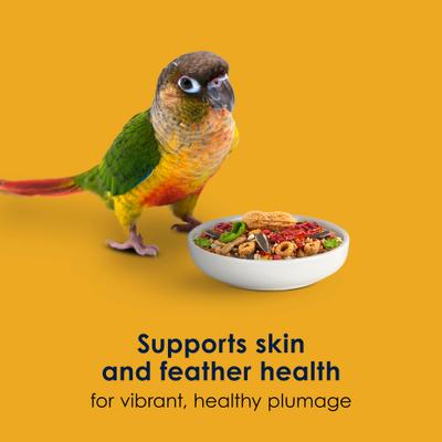 Show full view: Kaytee Forti-Diet Pro Health Egg-Cite! Nourish+Protect Conure & Lovebird Food, 3-lb bag slide 8 of 11