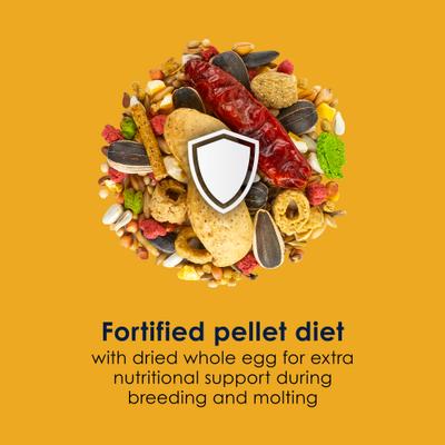 Show full view: Kaytee Forti-Diet Pro Health Egg-Cite! Nourish+Protect Conure & Lovebird Food, 3-lb bag slide 7 of 11