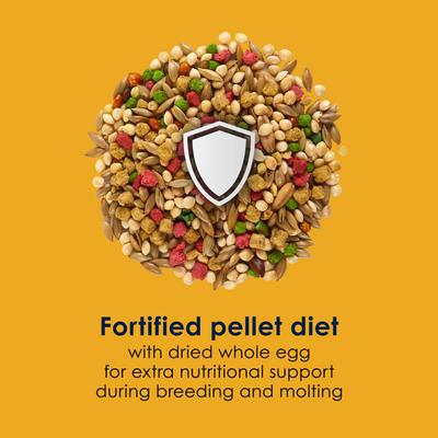 Show full view: Kaytee Forti-Diet Pro Health Egg-Cite! Nourish+Protect Parakeet Food, 5-lb bag slide 6 of 10