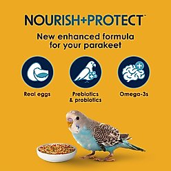 Kaytee Forti-Diet Pro Health Egg-Cite! Nourish+Protect Parakeet Food, 5-lb bag slide 2 of 8