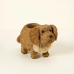 LIKHA Golden Retriever 4-in Coco Coir Planter Pot, Brown/White, 15.5 x 5.5 x 8-in