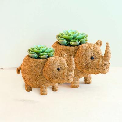 Show full view: LIKHA Rhino Coco Coir Planter Pot, 4-in slide 8 of 8