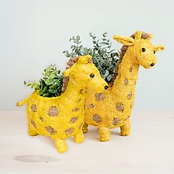 LIKHA Giraffe Coco Coir Planter Pot, 4-in slide 2 of 8