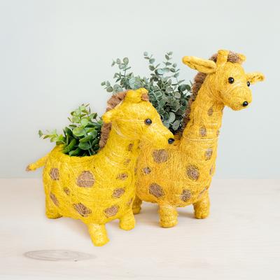 Show full view: LIKHA Giraffe Coco Coir Planter Pot, 4-in slide 8 of 8