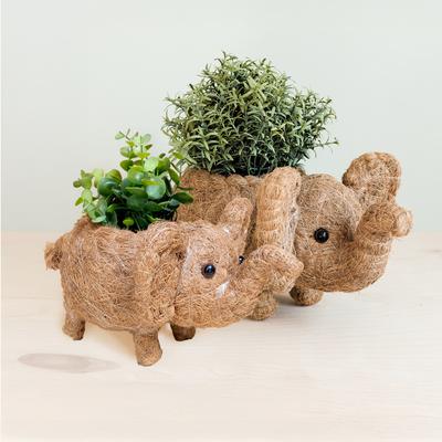 Show full view: LIKHA Elephant Coco Coir Planter Pot, 4-in slide 6 of 6