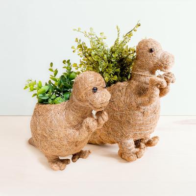 Show full view: LIKHA T-Rex Coco Coir Planter Pot, 4-in slide 7 of 7