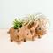 Show in main carousel: LIKHA Triceratops Coco Coir Planter Pot, 4-in slide 8 of 8