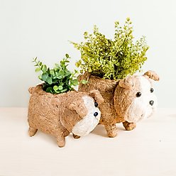 LIKHA English Bulldog Coco Coir Planter Pot, 2.5-in slide 2 of 4
