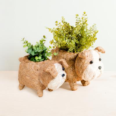 Show full view: LIKHA English Bulldog Coco Coir Planter Pot, 4-in slide 6 of 6