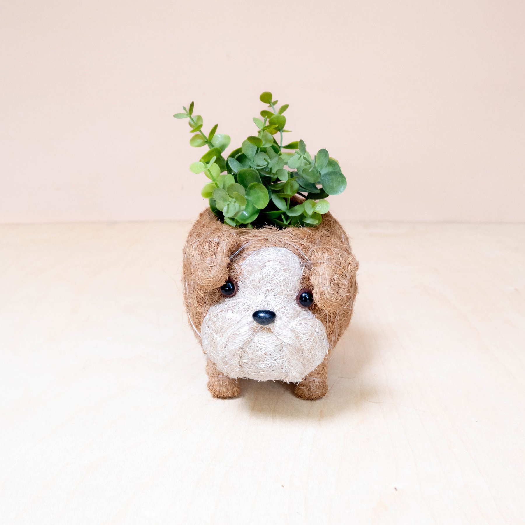 LIKHA English Bulldog Coco Coir Planter Pot, 2.5-in