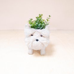 LIKHA Schnauzer Coco Coir Planter Pot, 2.5-in