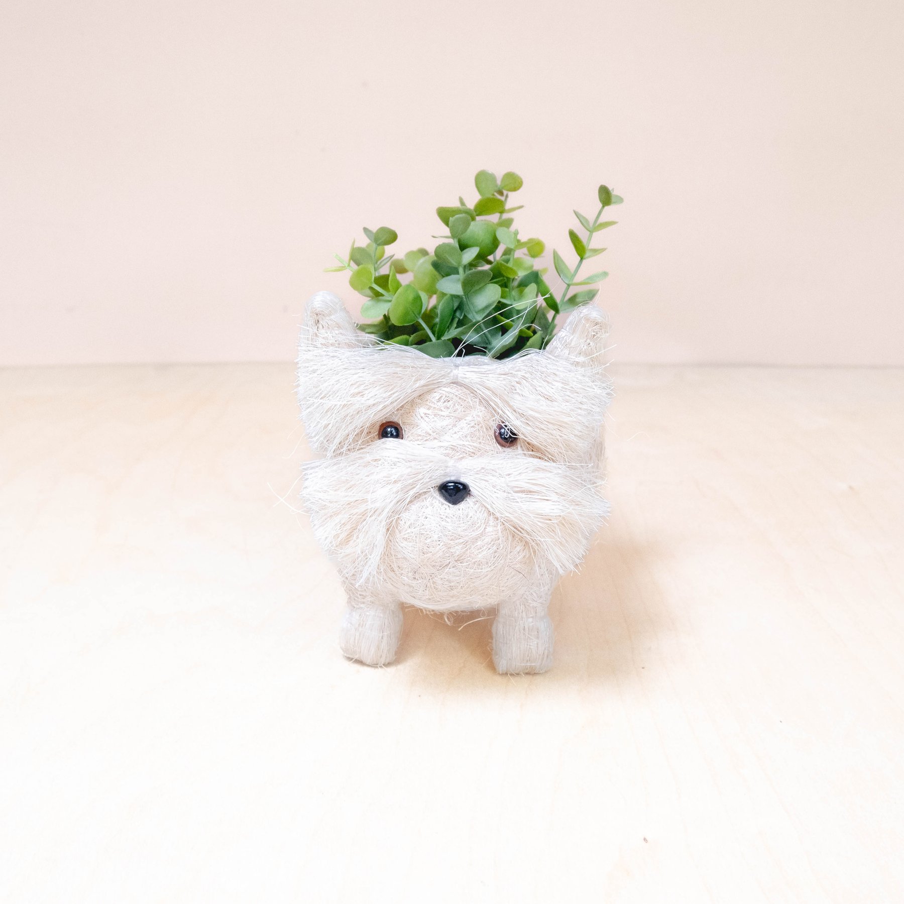 LIKHA Schnauzer Coco Coir Planter Pot, White, 2.5-in